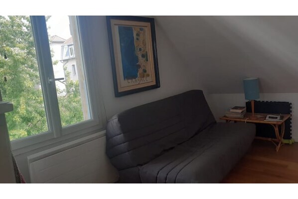 TV, fireplace, DVD player, books