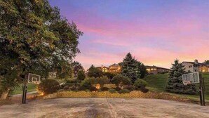Una cancha de baloncesto al aire libre rodeada de árboles y un área residencial con casas al fondo.