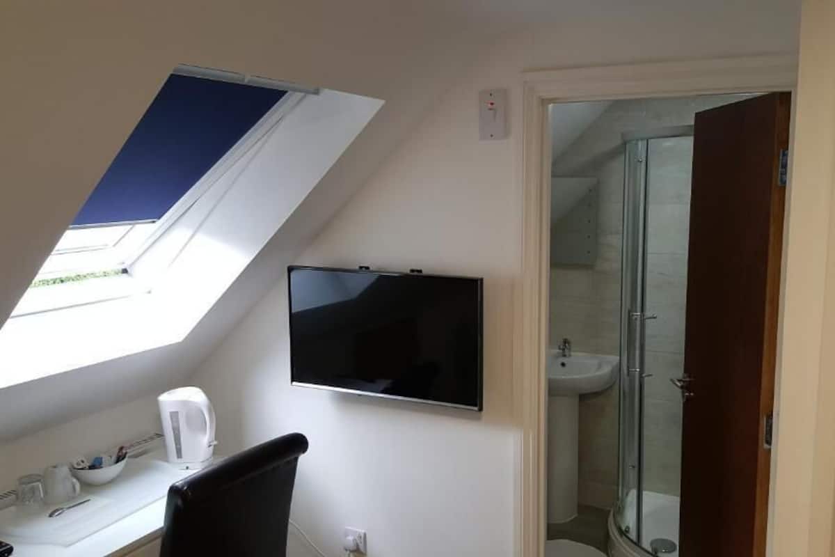 A room with a skylight, a television, a sink, and a shower.