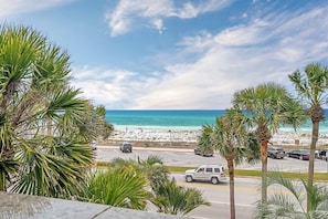 A view of a beach with palm trees and a road with vehicles.