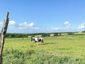 Miscellaneous - 3 bedroom accommodation in Plains, near Glasgow (Plains, near Glasgow)