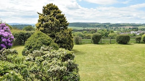 Un paysage verdoyant et luxuriant, avec un arbre imposant, une variété d’arbustes et une vue lointaine sur un village.