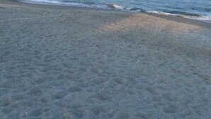 Uma praia com céu claro e ondas suaves.