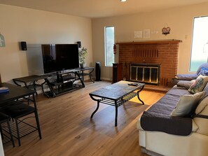Smart TV, fireplace, books, video library