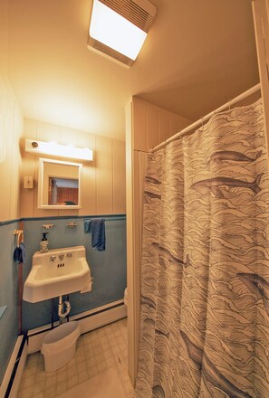 Shower, hair dryer, towels, toilet paper