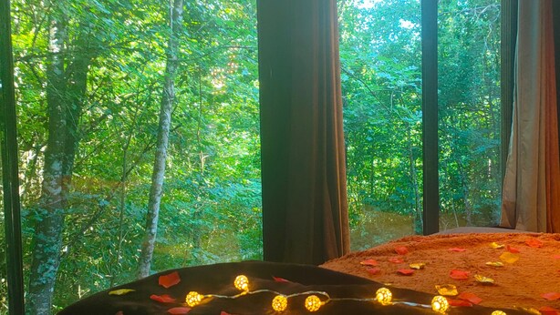 A bedroom with a large window overlooking a forest. - L'Ange de Fer (Illoud)