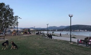 Beach nearby - Athenian Riviera Family House (Palea Fokea)