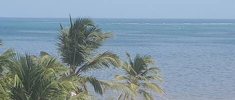 Nära stranden