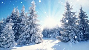 A snowy landscape with evergreen trees and a clear sky. - Property for Tornado Watchers! (Springfield)