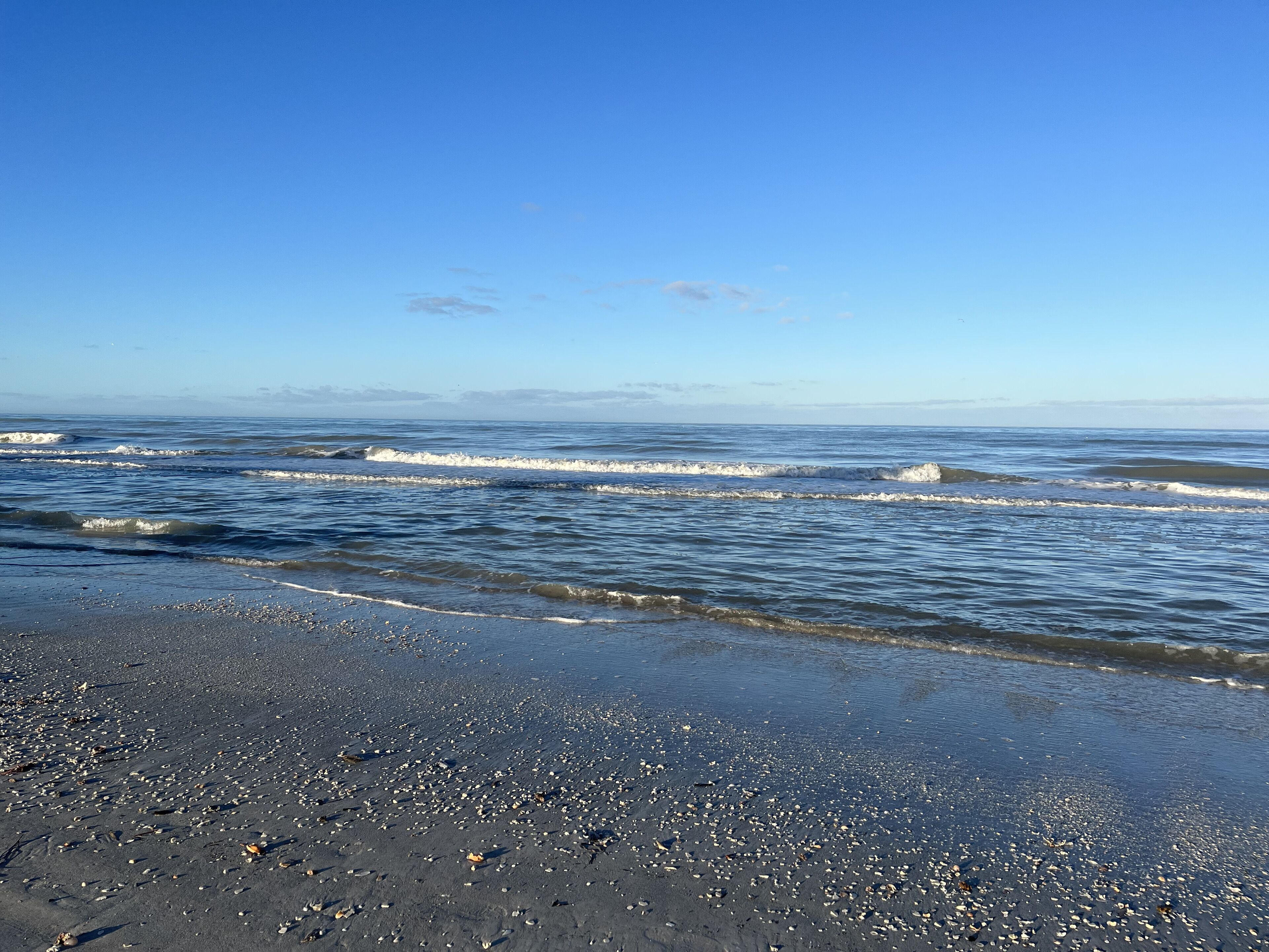 Beach nearby, sun loungers