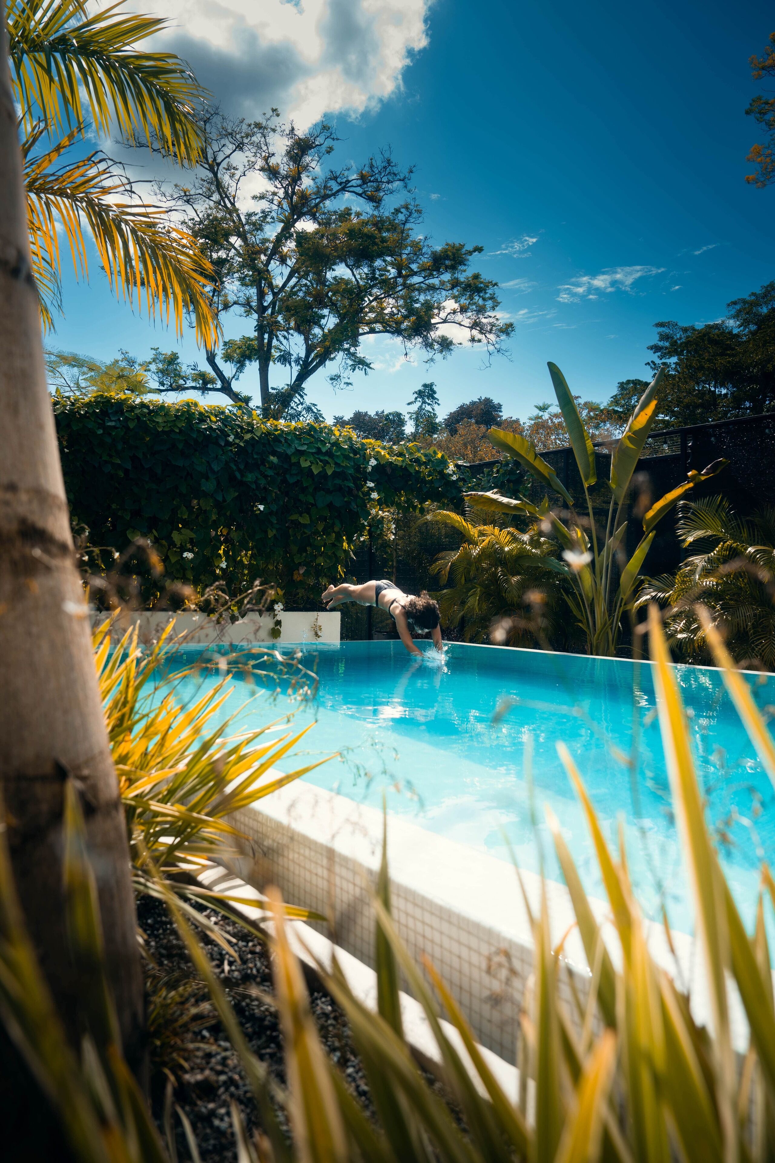 Una piscina al aire libre, sombrillas, sillones reclinables de piscina