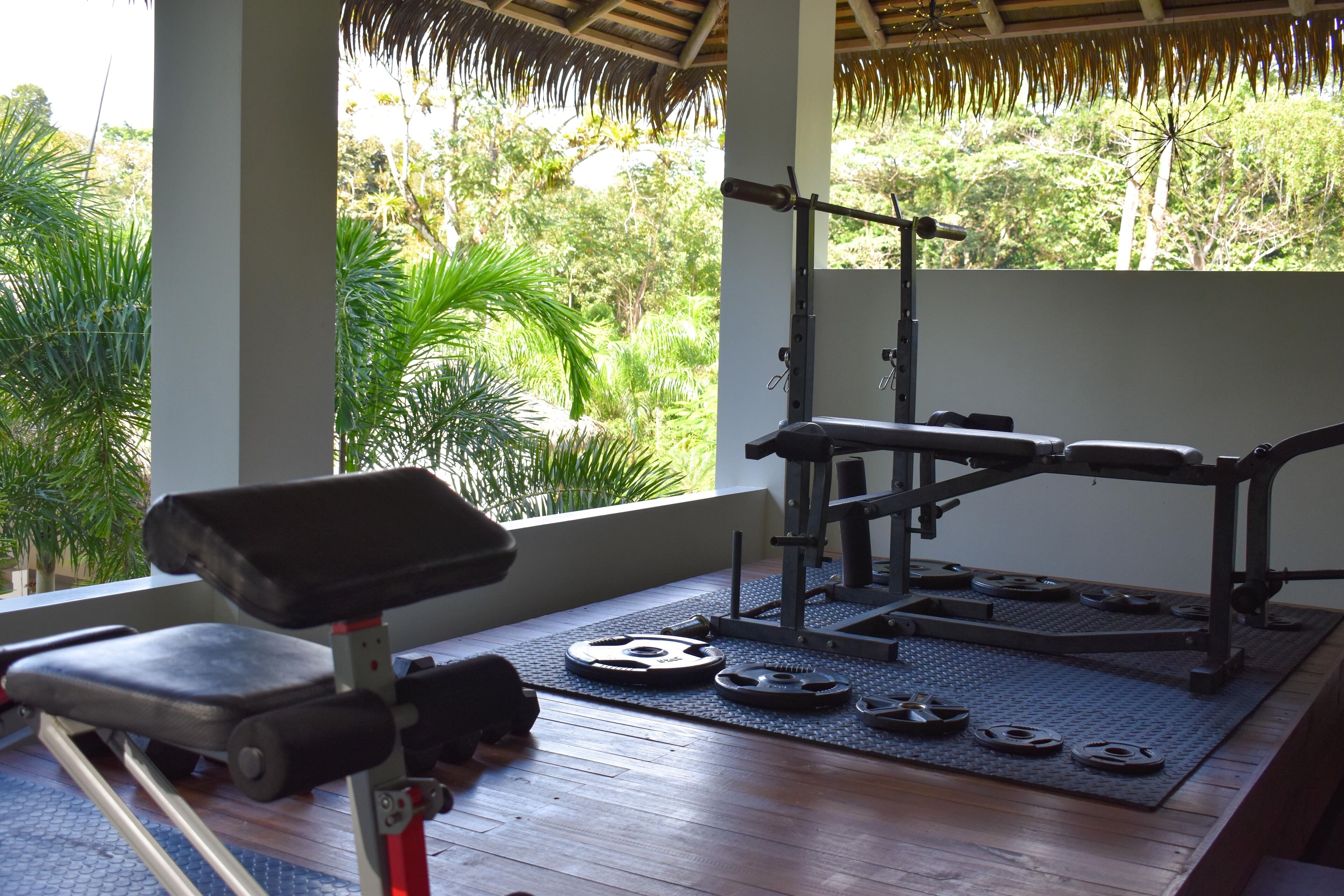 A gym with a bench press, a squat rack, and weight plates on a wooden floor with a view of lush greenery outside.