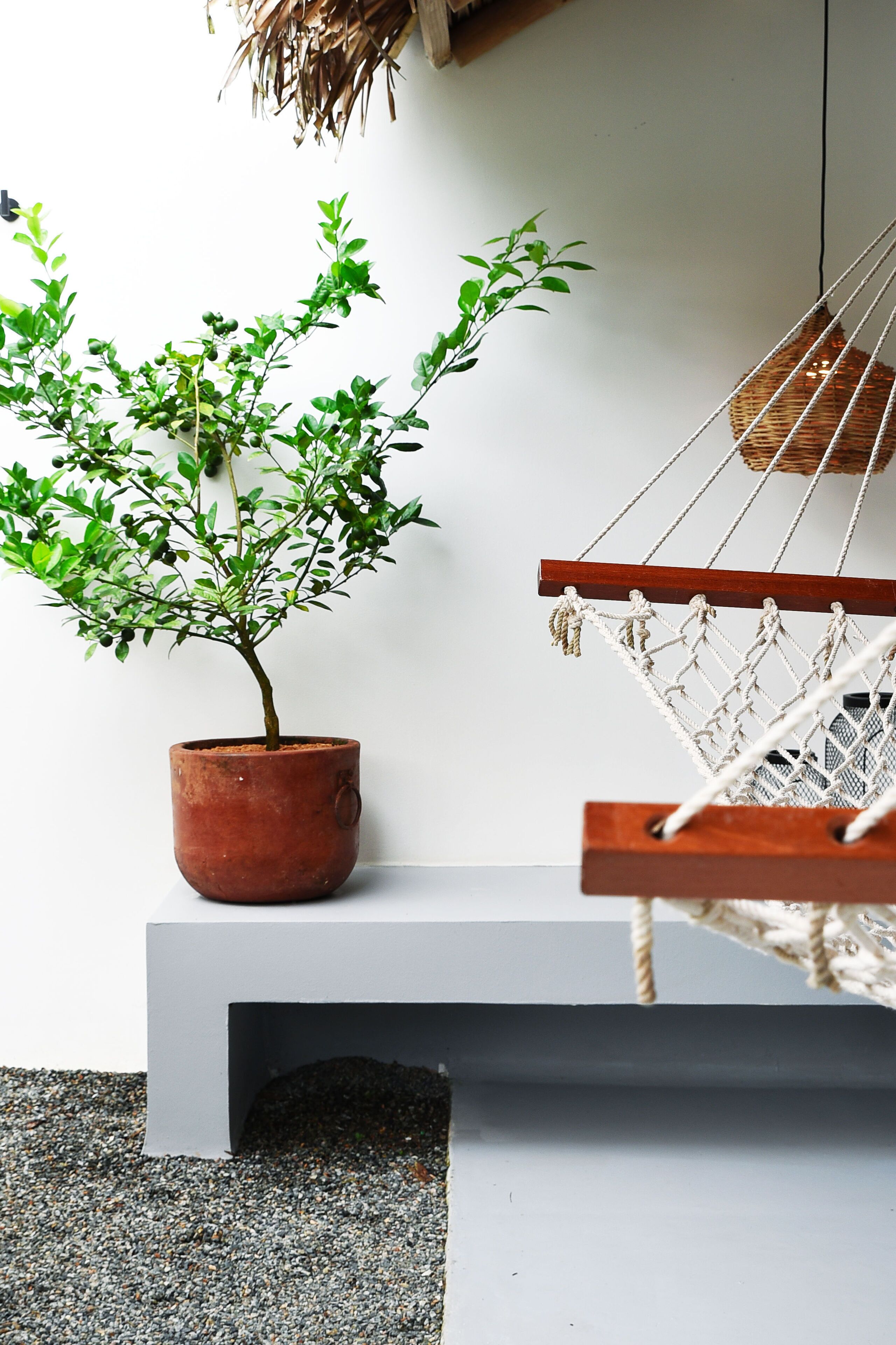 A potted plant on a grey bench, a macrame hammock, and a woven basket on a wall.