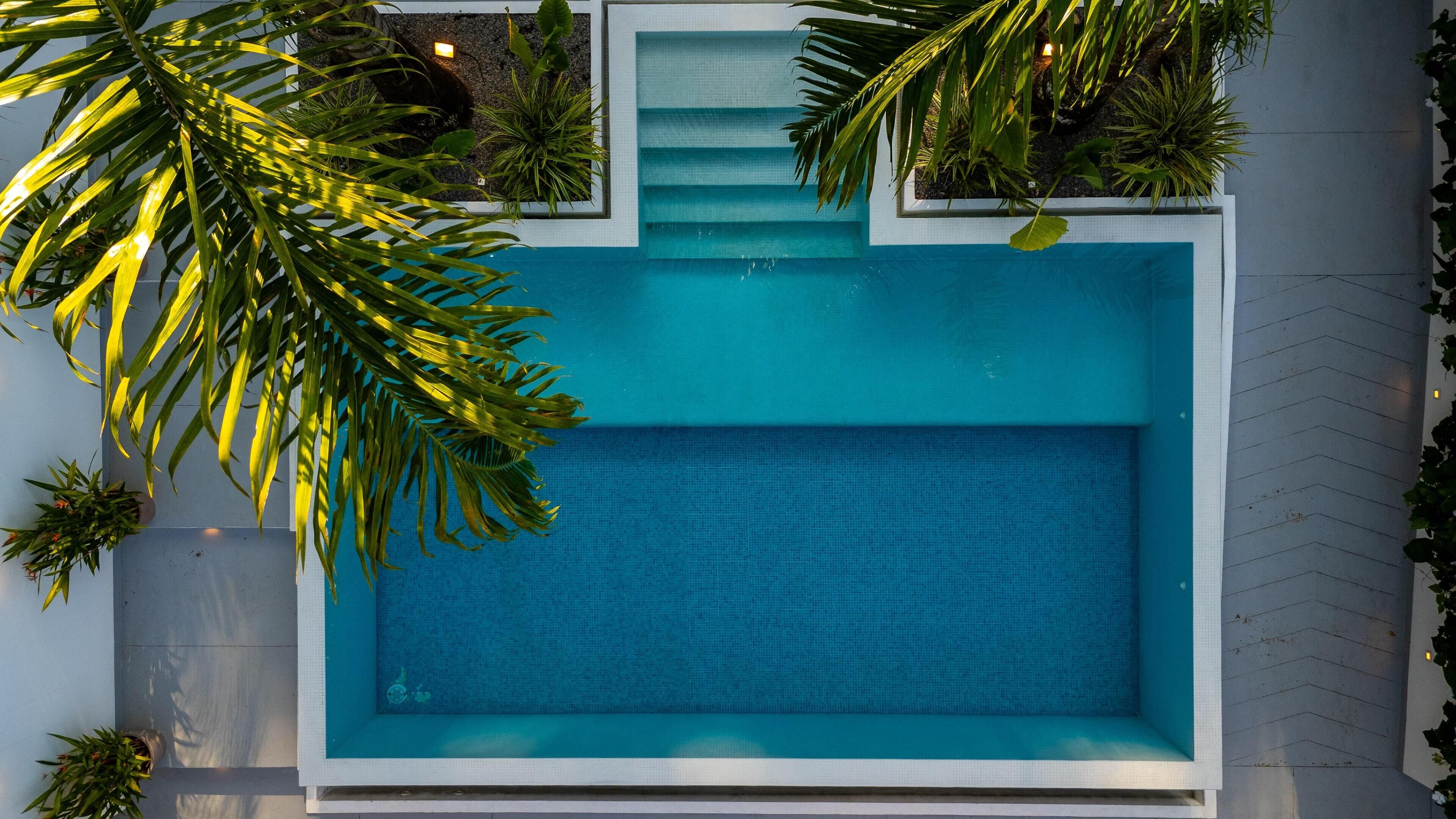 Une piscine rectangulaire dont le fond est recouvert de carreaux, entourée de plantes en pot et bordée d’un chemin en pierre.