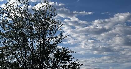 Charming studio in enchanting Springfield-TEST LISTING!!