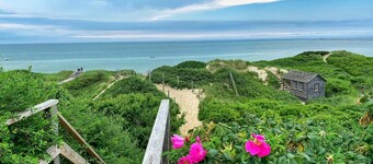 Charming Historic Downtown Cottage