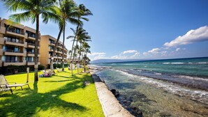 Un hotel frente a la playa con varios balcones, un césped y palmeras.