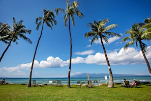 Zona de playa con palmeras, sillas de descanso y vista al océano.