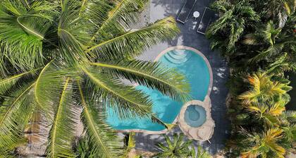 Tropical Paradise in Hollywood FL