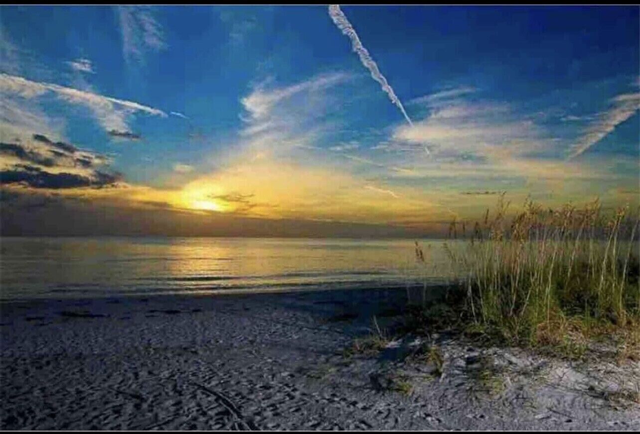 In Strandnähe, Liegestühle, Strandtücher