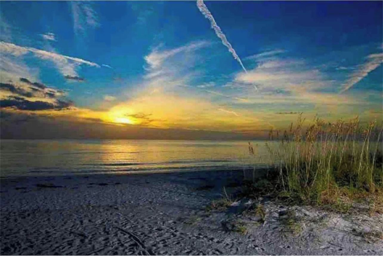 Escena de playa con un atardecer sobre el agua, que muestra una orilla arenosa y algo de hierba en primer plano.