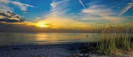 Escena de playa con un atardecer sobre el agua, que muestra una orilla arenosa y algo de hierba en primer plano.