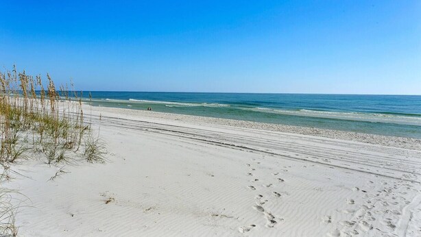 A beach with white sand and sparse vegetation.