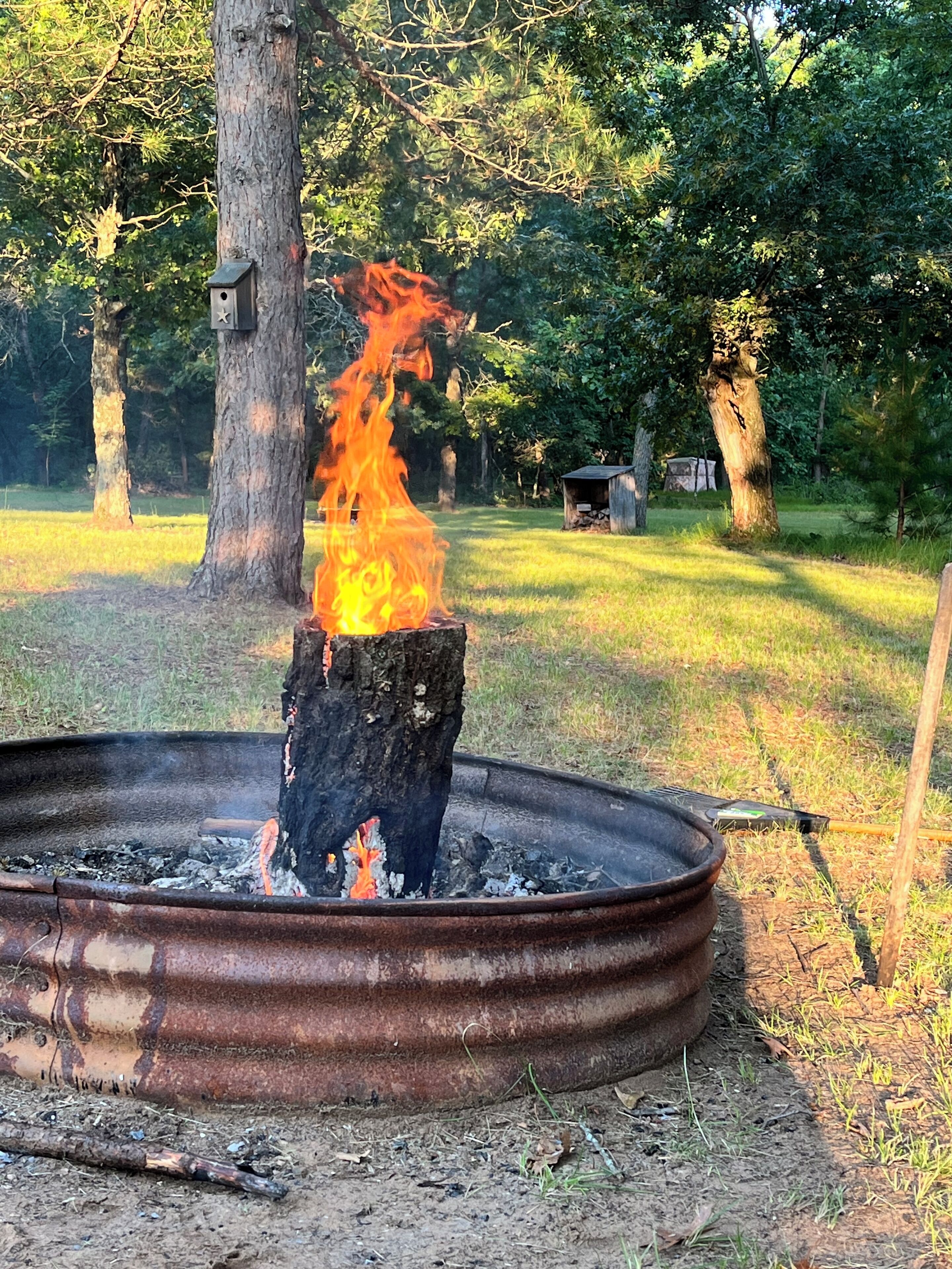 Jardines del alojamiento