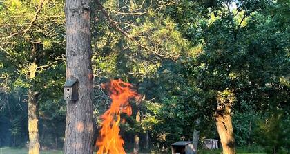 Golfers, fishermen, hunters, this spot is for you! Quiet, Cozy, and clean!!