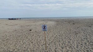 Una playa con un cartel que indica 'NO ADMITIMOS PERROS' al primer plano.
