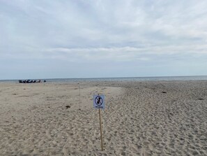 Nær stranden