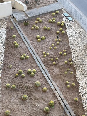 Terrain de l’hébergement 