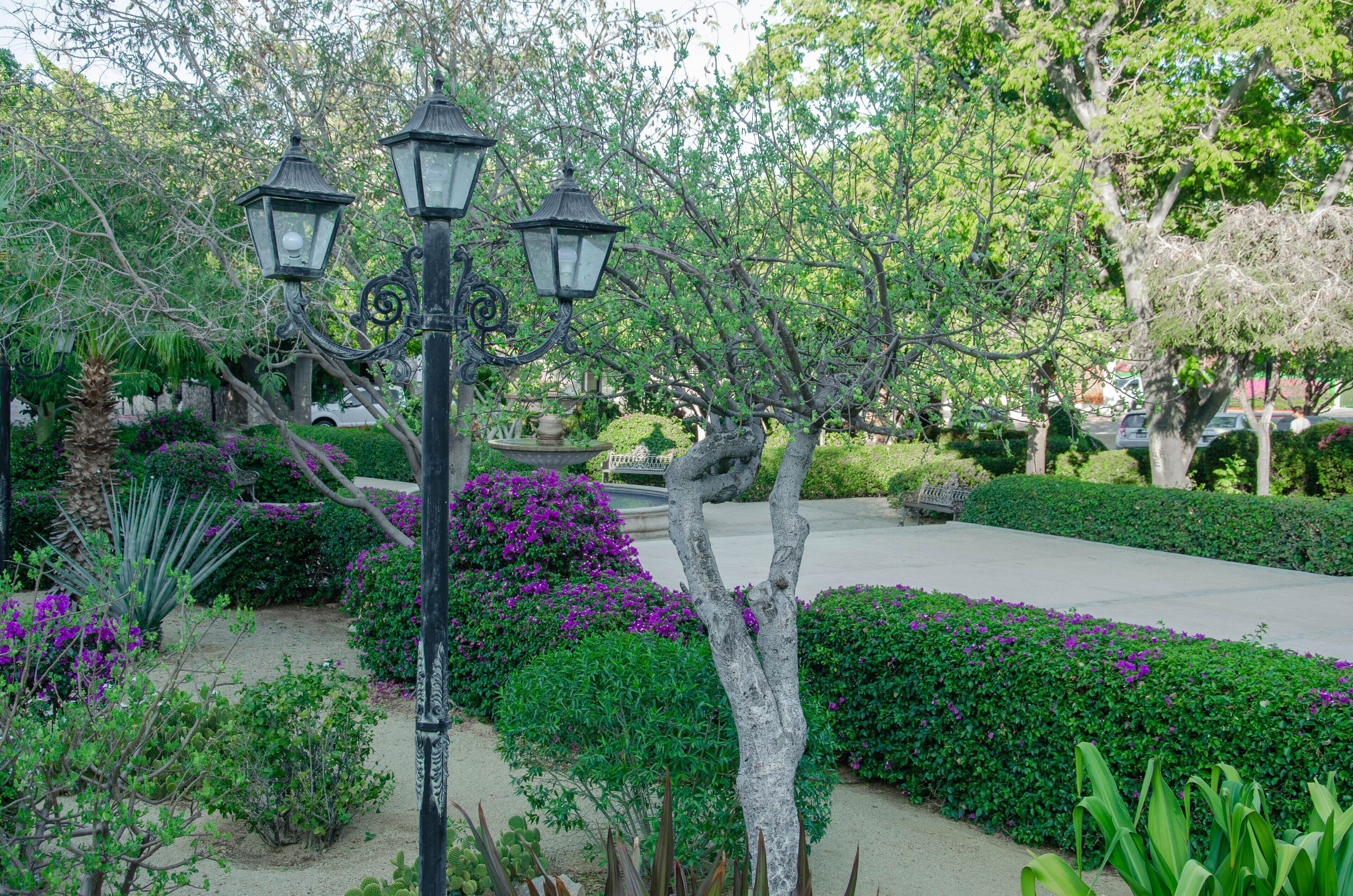 Photo - Pedregal Suites - Marina and Downtown