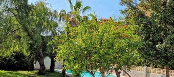 House with exclusive pool and garden 7 min walk from the beach and the center