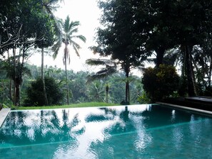 Outdoor pool - Aventus Resort Ubud (Payangan)
