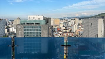 Premier kamer (Suite) | Kameruitzicht