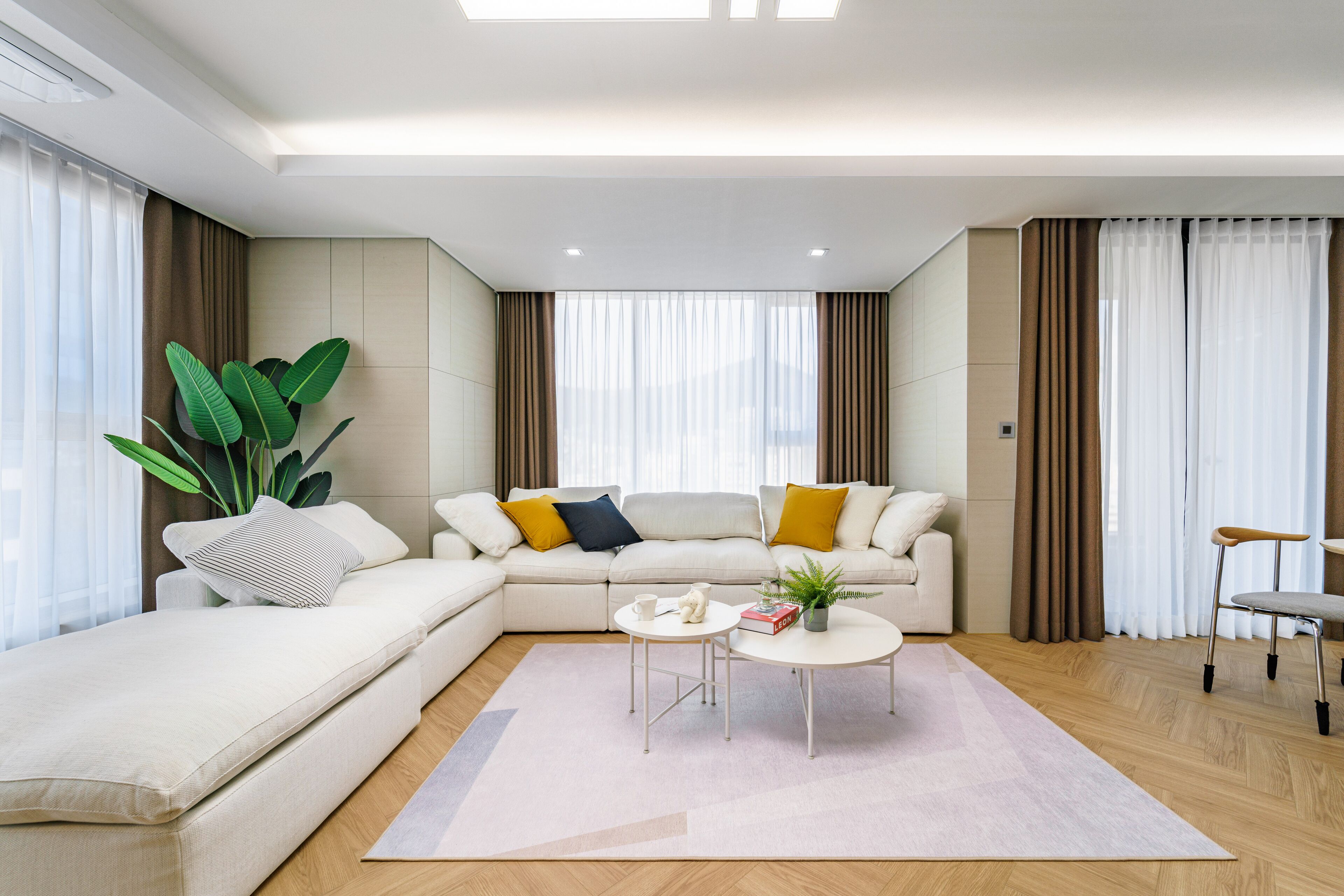 A modern living room with a sofa, coffee table, and a plant.