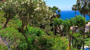 Ein üppiger Garten mit verschiedenen Bäumen und Blick auf das Meer.