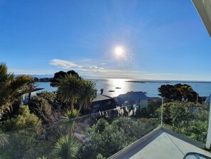 Property grounds - Kimberley House - 6-bedroom home in a fantastic Nelson waterfront location. (Nelson)