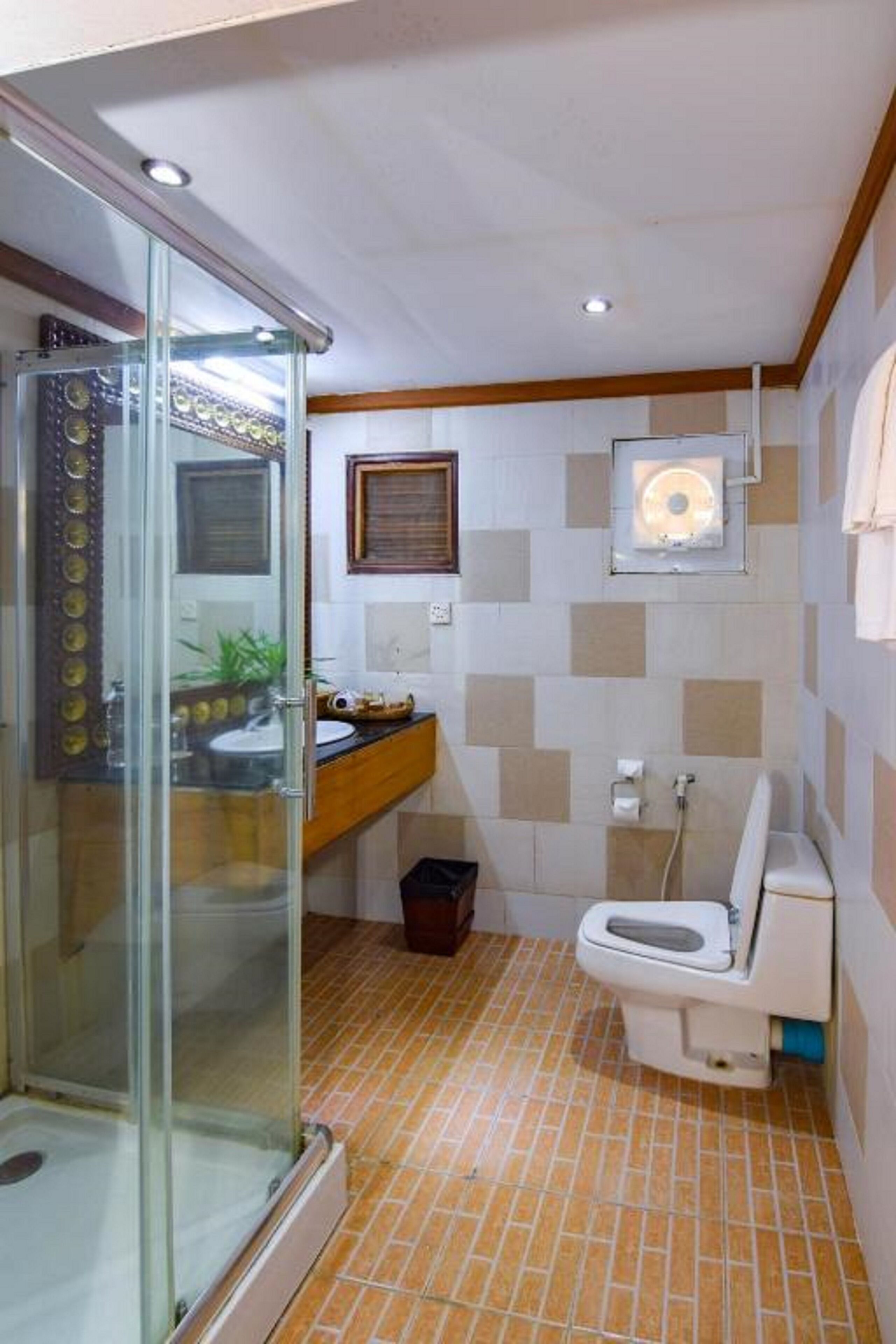 Shower, hair dryer, bathrobes, towels