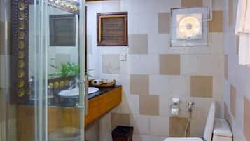 Shower, hair dryer, bathrobes, towels