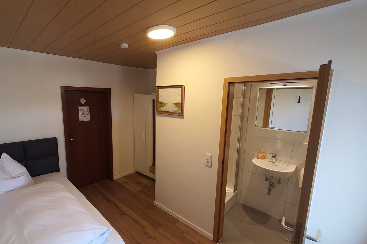 Une chambre d’hôtel avec un lit, un plafond en bois, une porte ornée d’une carte, une salle de bain avec un lavabo et un miroir, et un couloir.