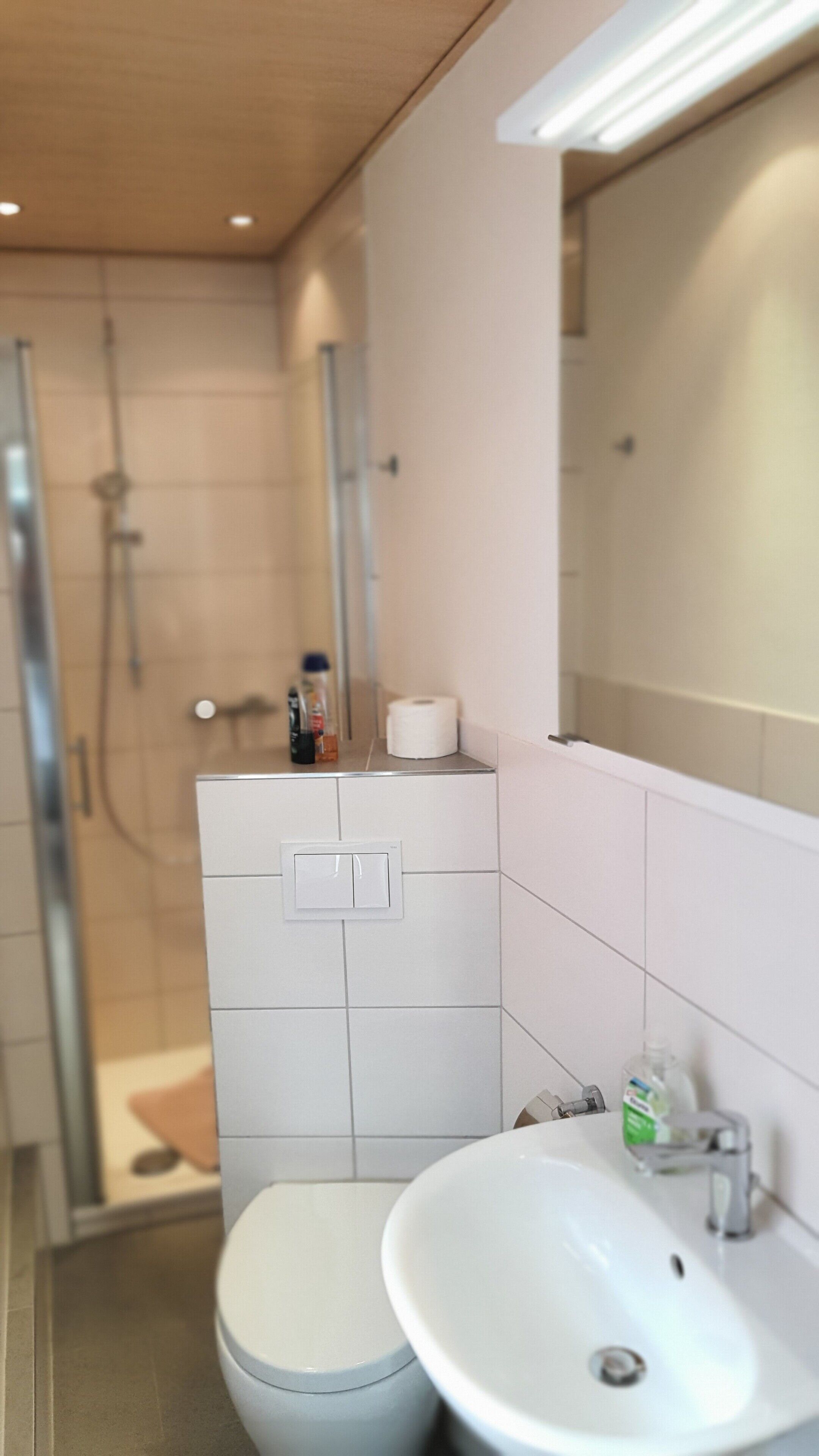 Une salle de bain avec des toilettes, un lavabo et une douche.