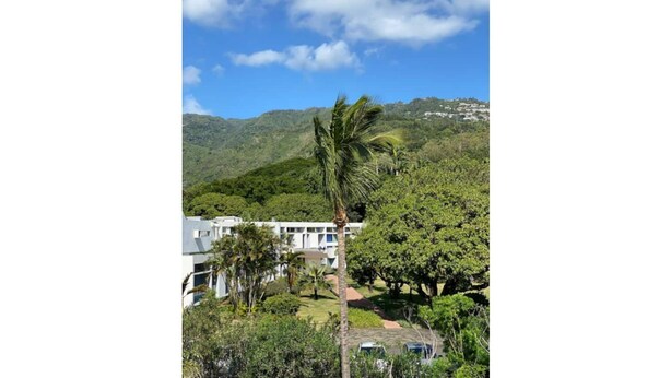 A residential area with a white building, surrounded by lush greenery and a hill in the background. - Appartement Refait Avec Terrasse et vue Montagne (Saint-Denis)