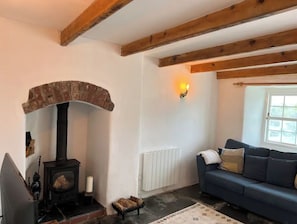 TV connectée, cheminée, livres, chaßne hi-fi