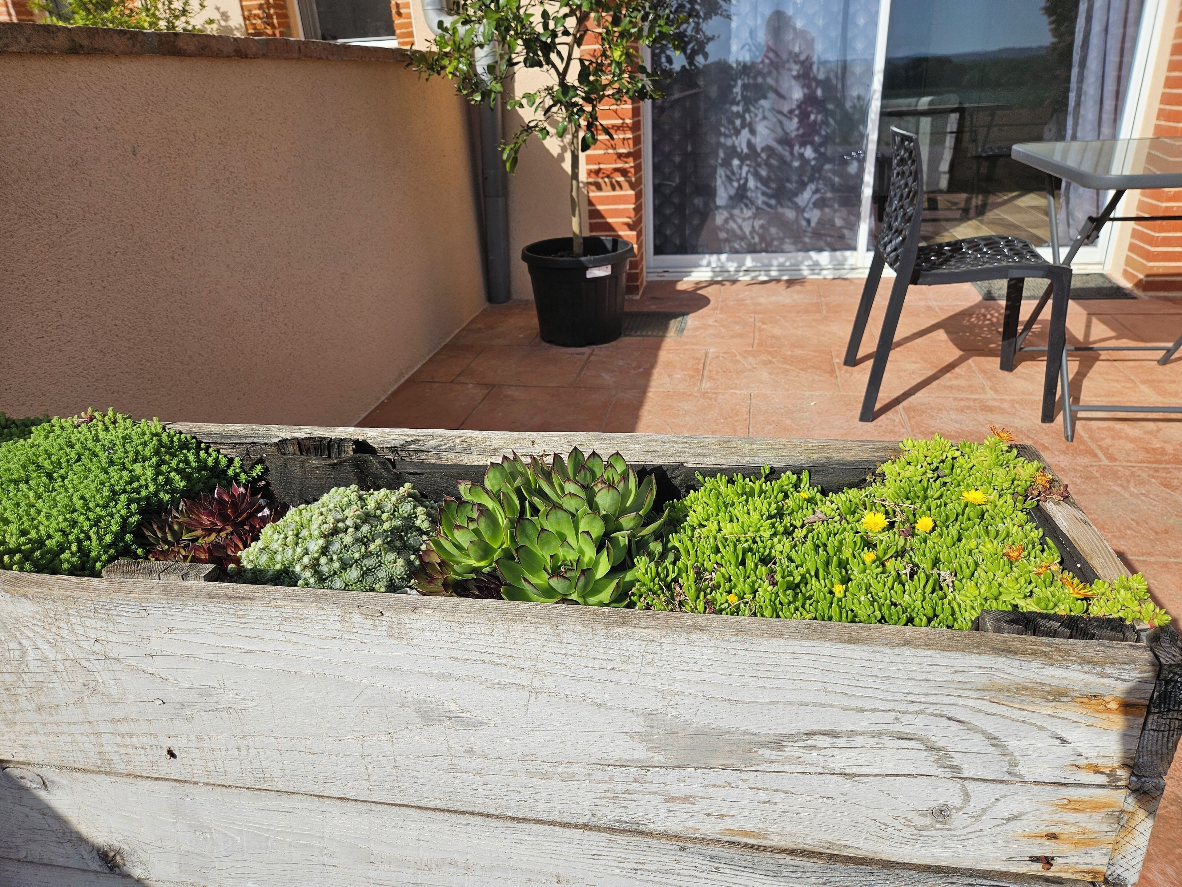 コンフォート ダブルルーム | 外観