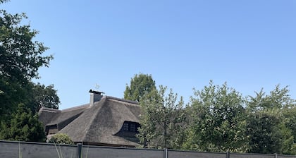 Tasteful vacation loft for 6 people in Emsland with sauna and outdoor pool