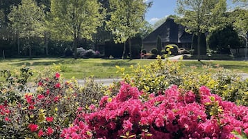 Jardines del alojamiento