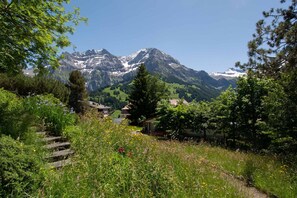 Property grounds - Chalet for 7 persons,  with a lot of outsice space, cozy and in a great location (Adelboden)