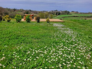 Property grounds - Nature and peace, in the heart of the Périgord... (Cendrieux)